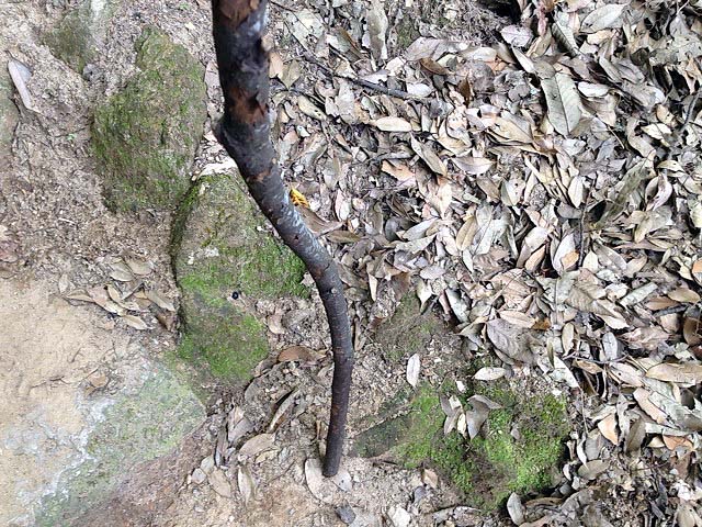 f:id:thyself2005:20140705042325j:plain