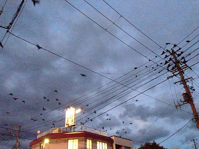 f:id:thyself2005:20141005132317j:plain