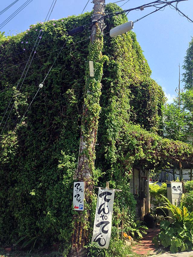 世界遺産・識名園近くの住宅街にそびえる蔦の館