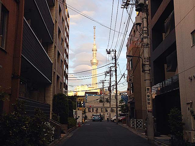 ちょろっと歩けば、路地から臨む東京スカイツリー