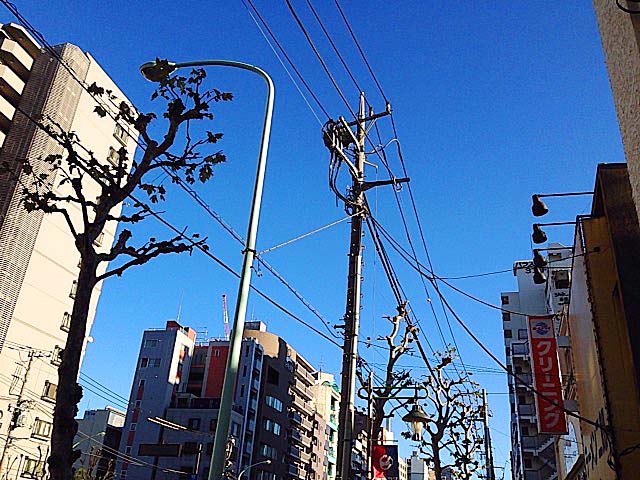 澄み切った青空の、とある年の文化の日 澄み切った青空の、とある年の文化の日