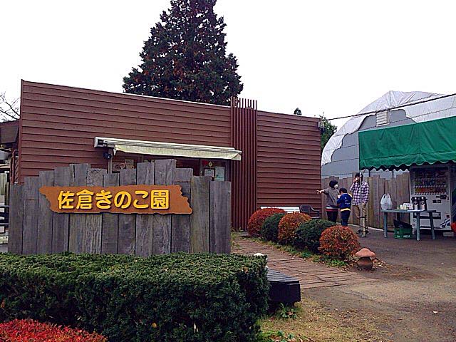 ジャンボしいたけ狩り&炭火バーベキューが楽しめる「佐倉きのこ園」 ジャンボしいたけ狩り&炭火バーベキューが楽しめる「佐倉きのこ園」