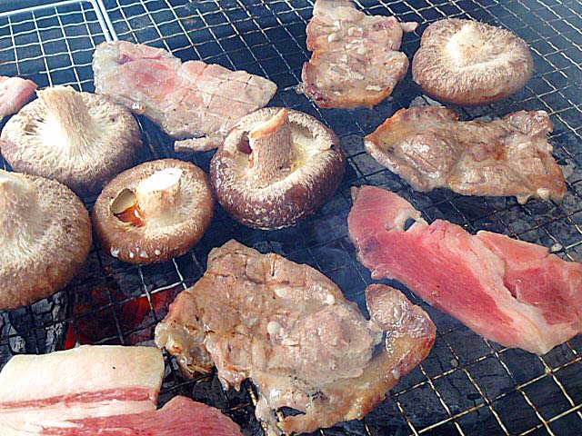 しいたけ→肉→しいたけ…の無限ループで焼きまくるけだものフレンズ@千葉「佐倉きのこ園」 しいたけ→肉→しいたけ…の無限ループで焼きまくるけだものフレンズ@千葉「佐倉きのこ園」