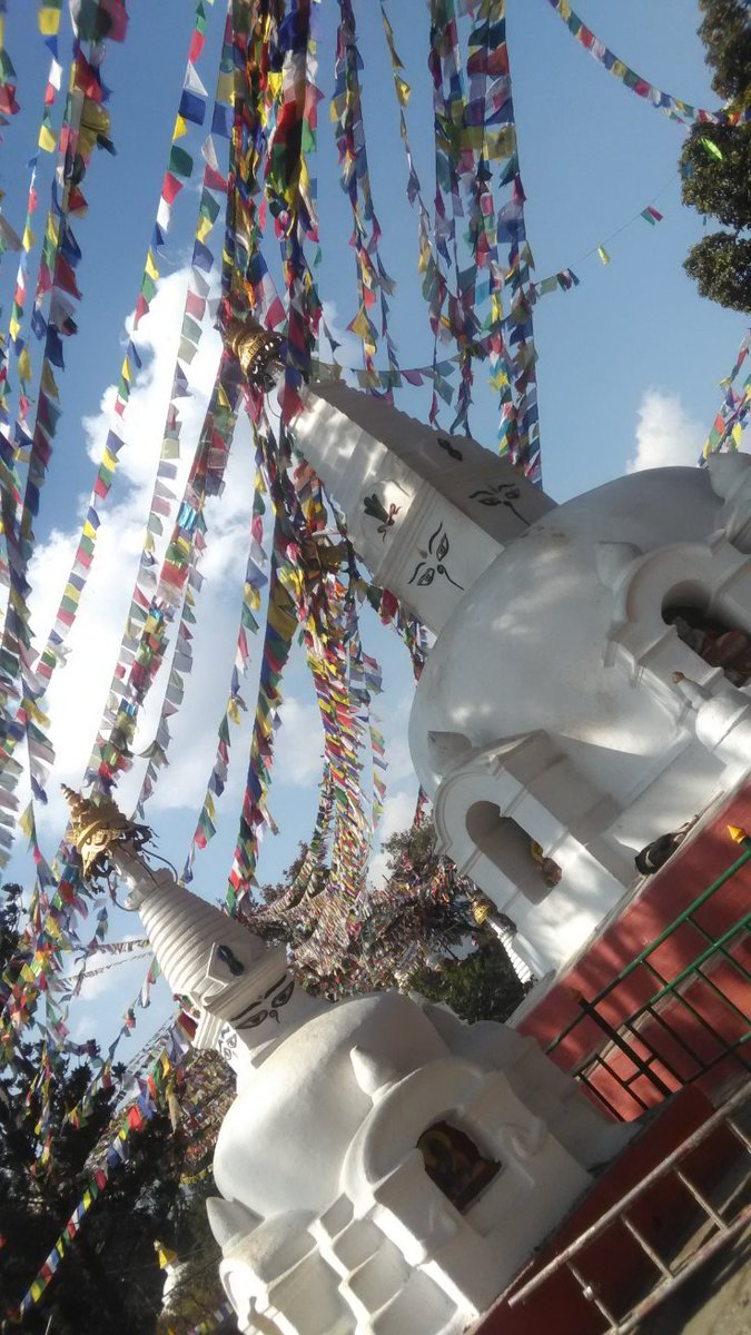 f:id:tiBetyou:20190330190759j:plain f:id:tiBetyou:20190330190759j:plain