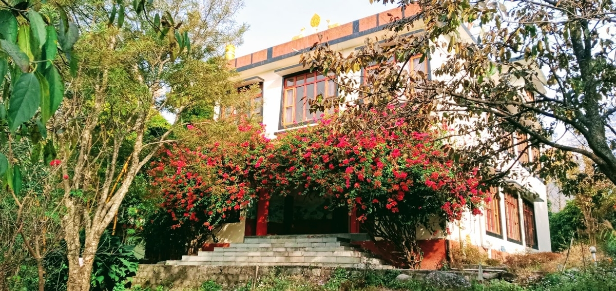 f:id:tiBetyou:20200204183136j:plain f:id:tiBetyou:20200204183136j:plain
