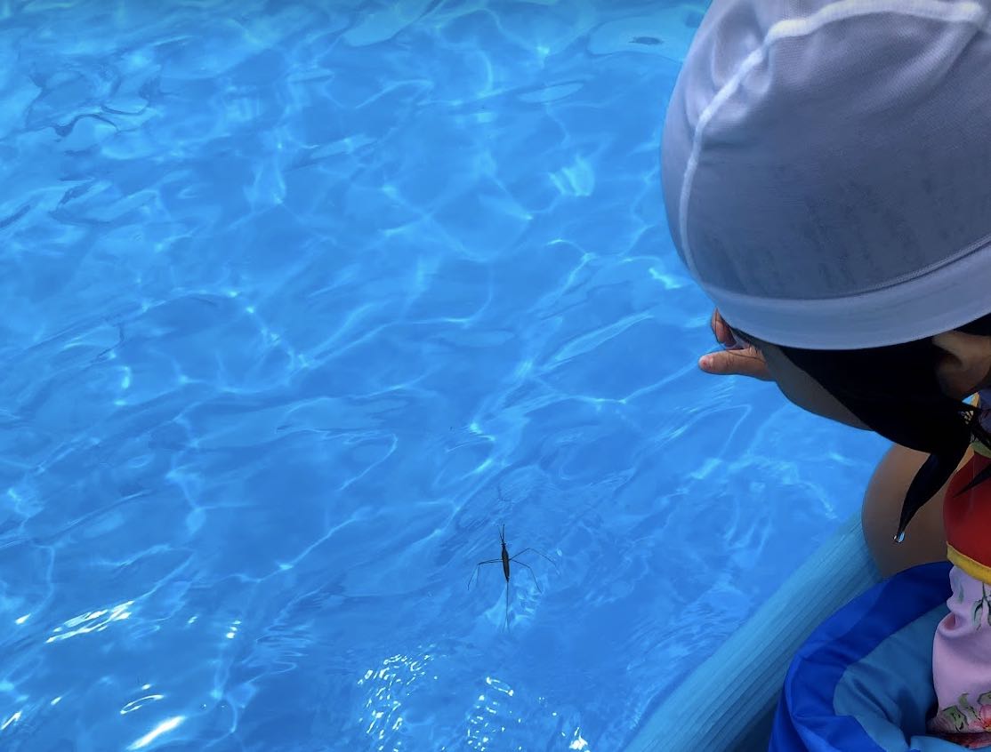 f:id:ti_taka:20210906222247j:plain