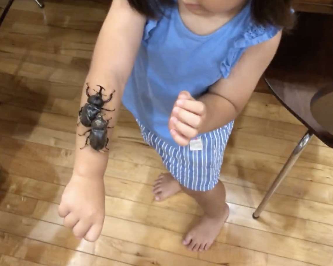 f:id:ti_taka:20210906223152j:plain