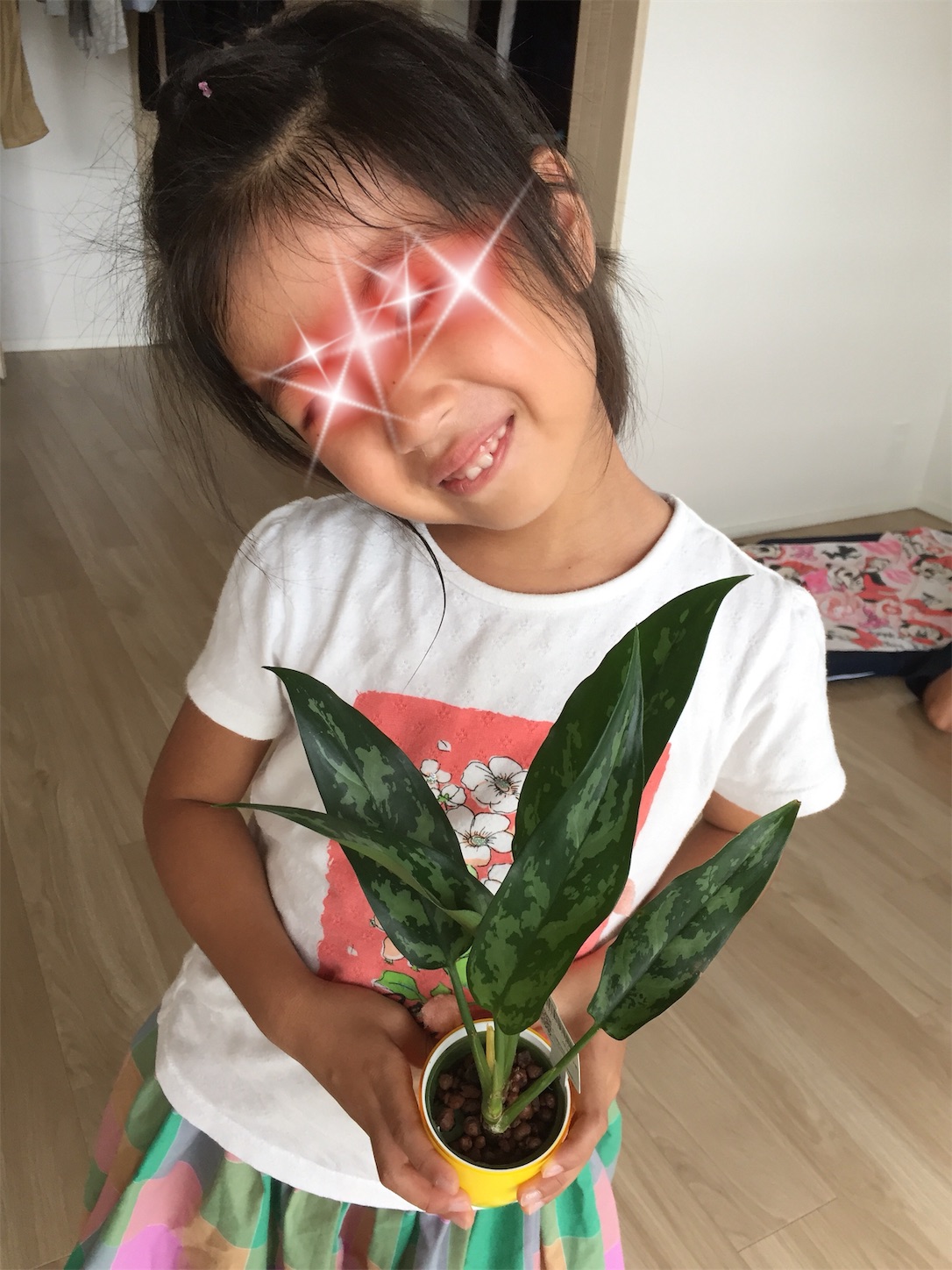 f:id:tibatti:20181119222004j:image