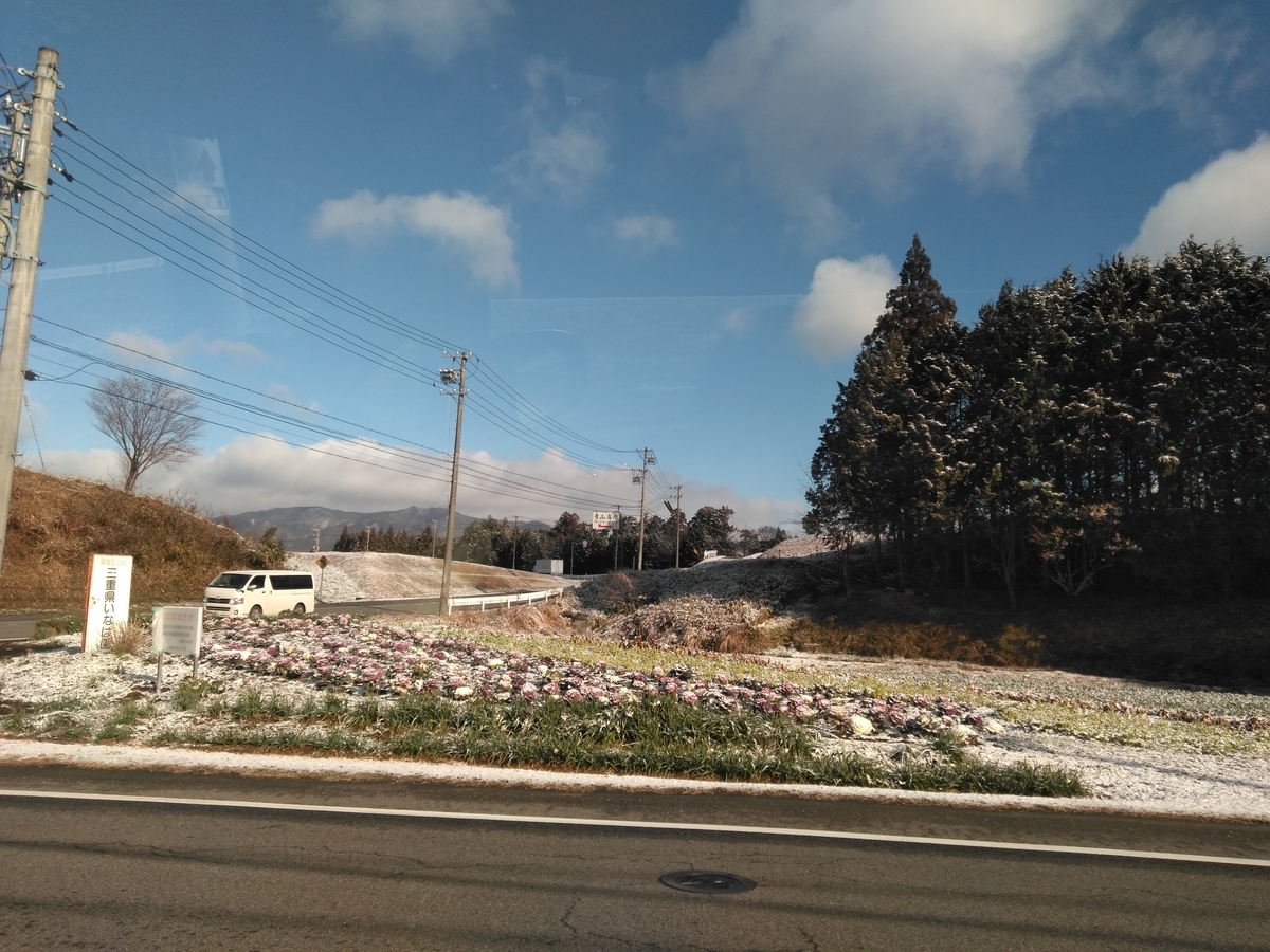 f:id:tiboko:20200207071837j:plain