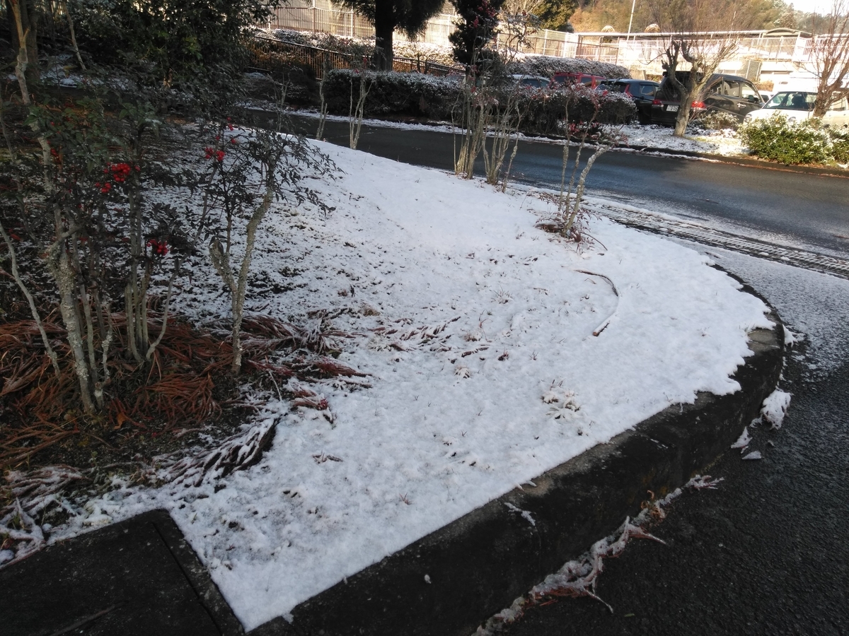 f:id:tiboko:20200207071859j:plain