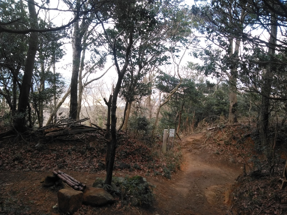 f:id:tiboko:20200227054107j:plain f:id:tiboko:20200227054107j:plain