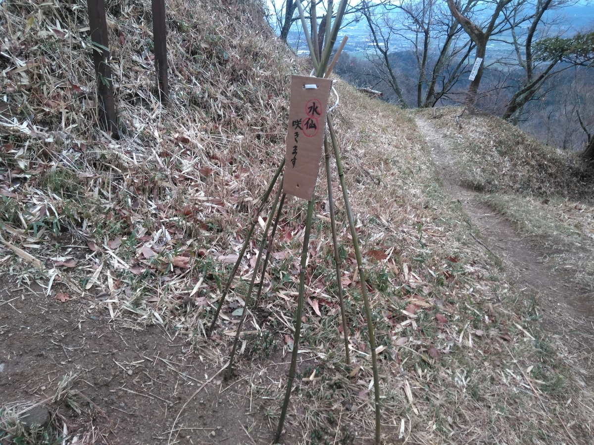 f:id:tiboko:20200227054231j:plain f:id:tiboko:20200227054231j:plain