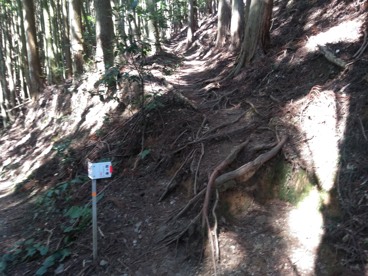 f:id:tiboko:20200326052254j:plain f:id:tiboko:20200326052254j:plain