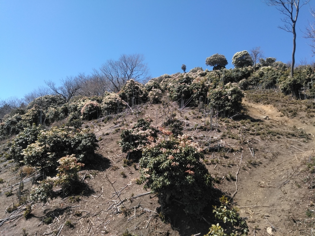 f:id:tiboko:20200326052626j:plain f:id:tiboko:20200326052626j:plain