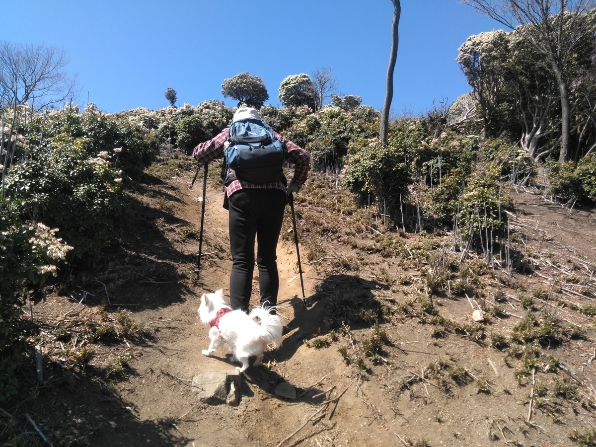 f:id:tiboko:20200326052742j:plain f:id:tiboko:20200326052742j:plain