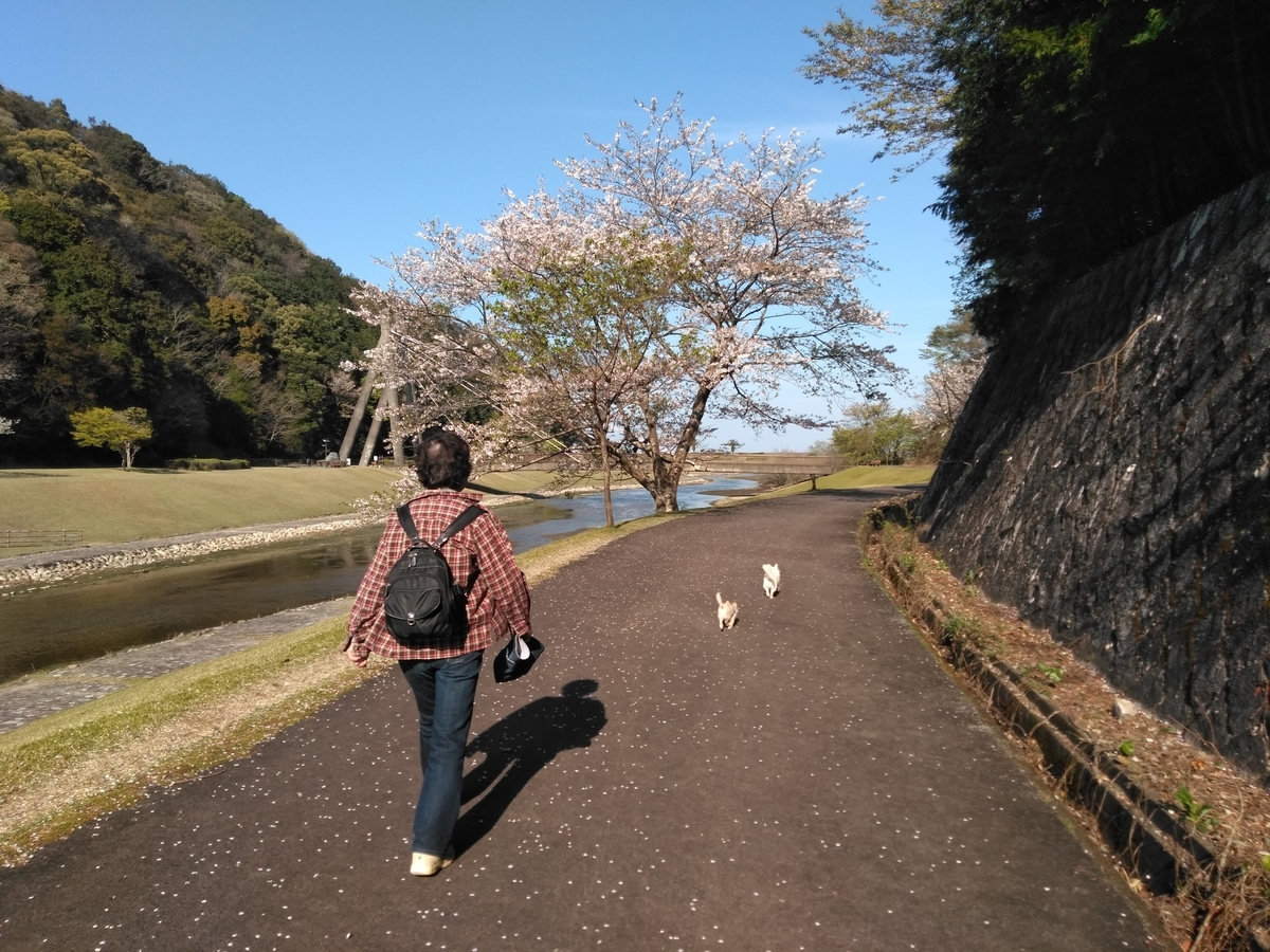 f:id:tiboko:20200412054110j:plain