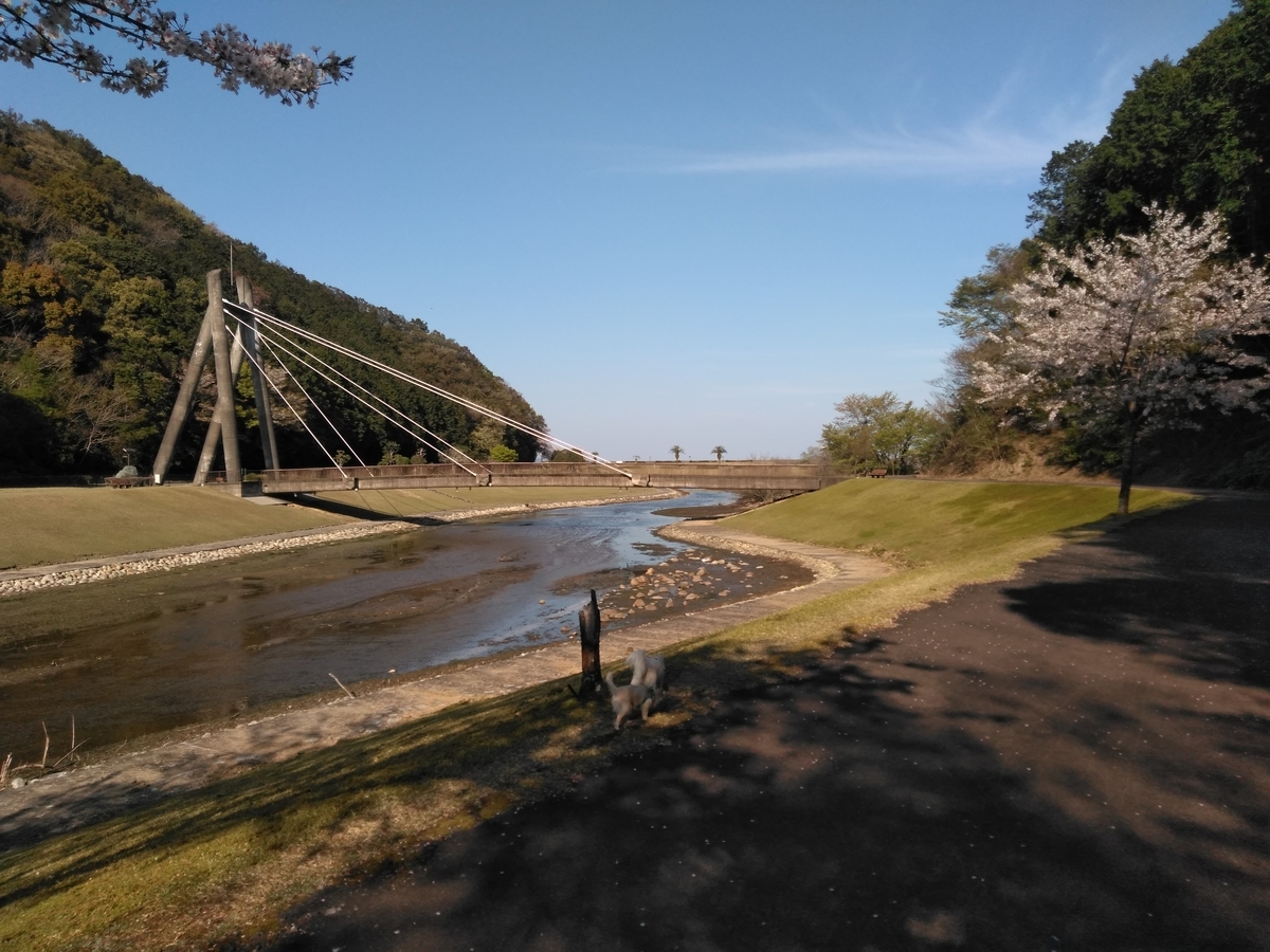 f:id:tiboko:20200412054144j:plain