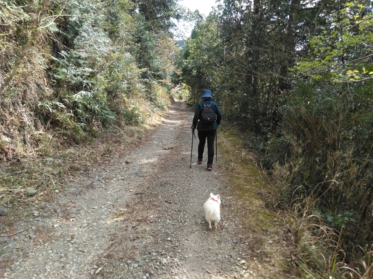 f:id:tiboko:20200413071454j:plain f:id:tiboko:20200413071454j:plain