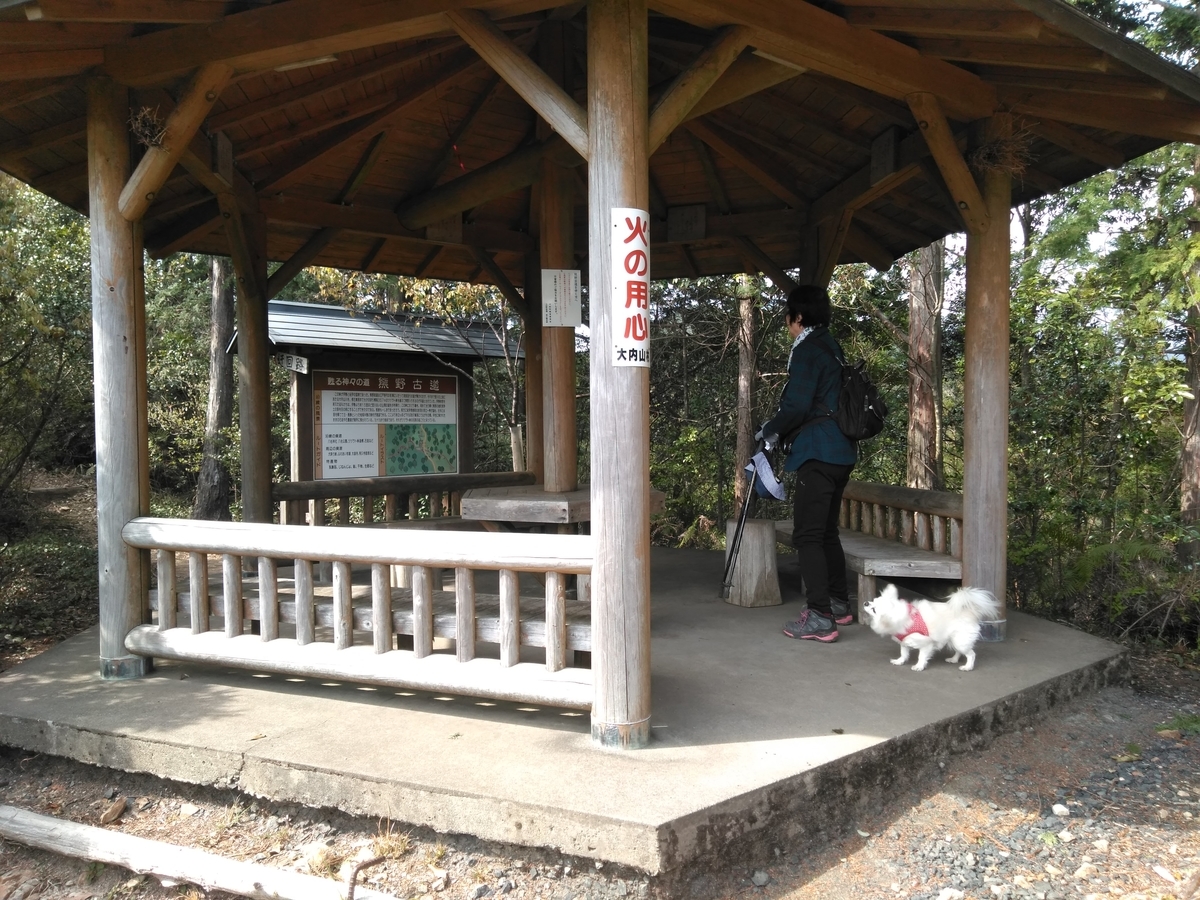 f:id:tiboko:20200413071743j:plain f:id:tiboko:20200413071743j:plain