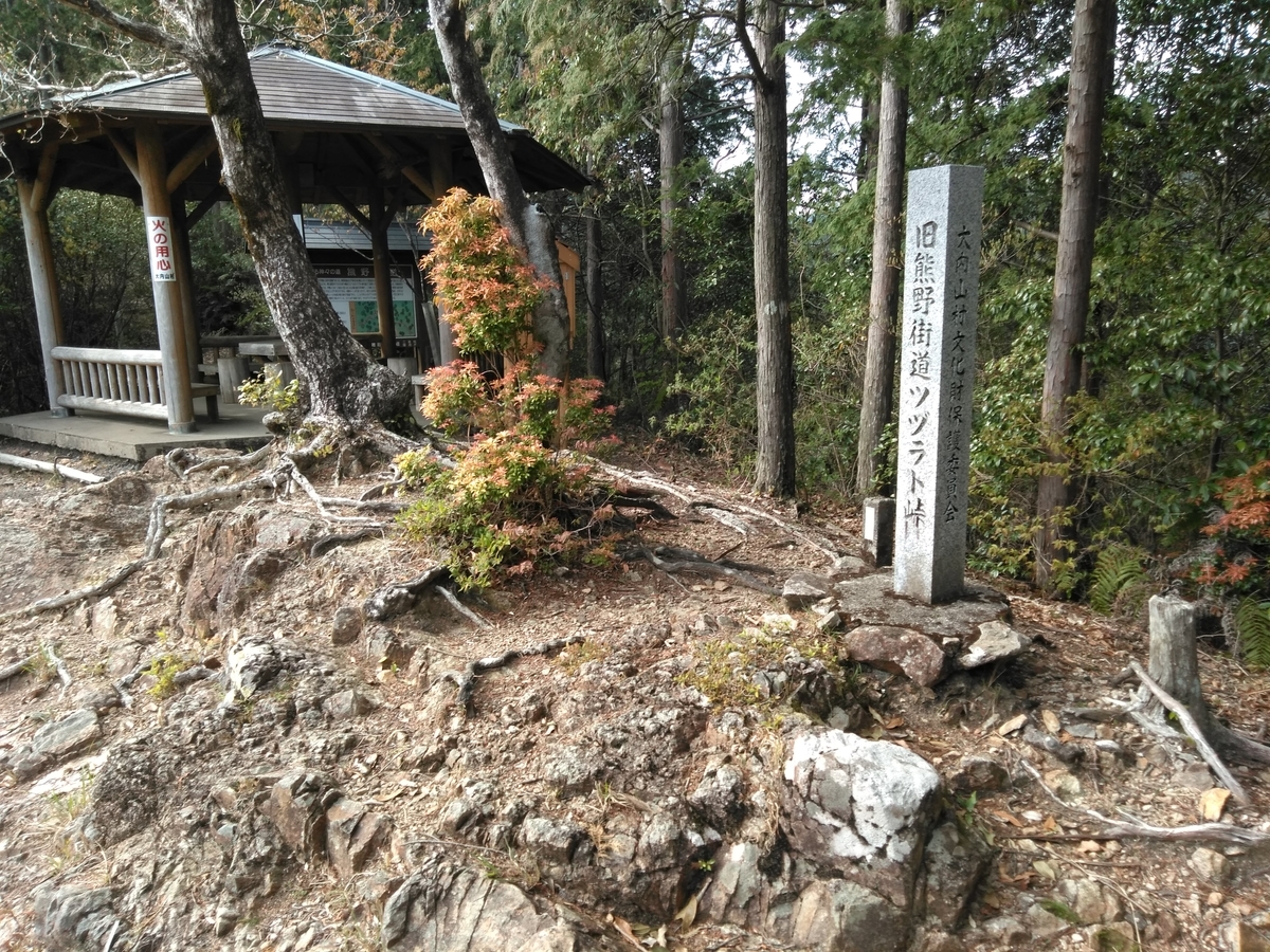 f:id:tiboko:20200413072101j:plain f:id:tiboko:20200413072101j:plain