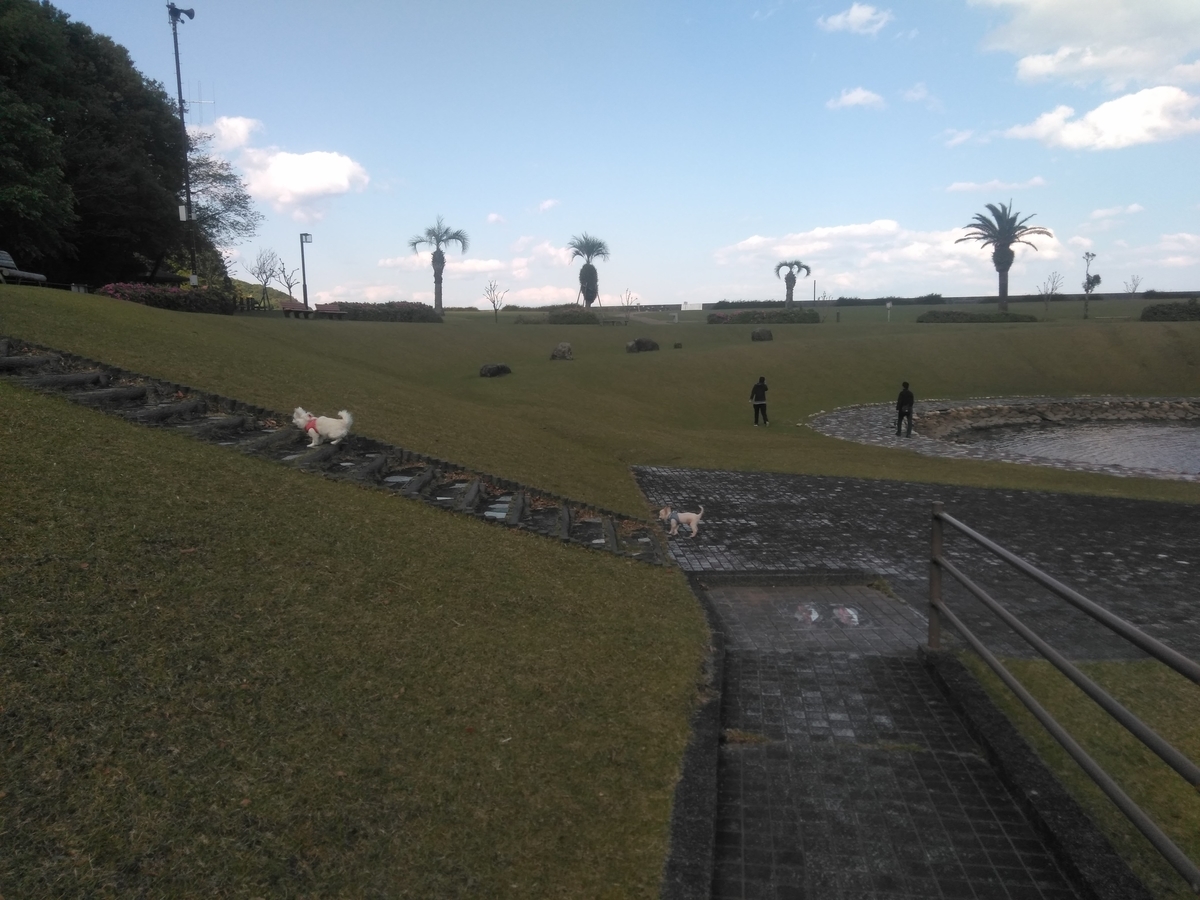 f:id:tiboko:20200426074117j:plain