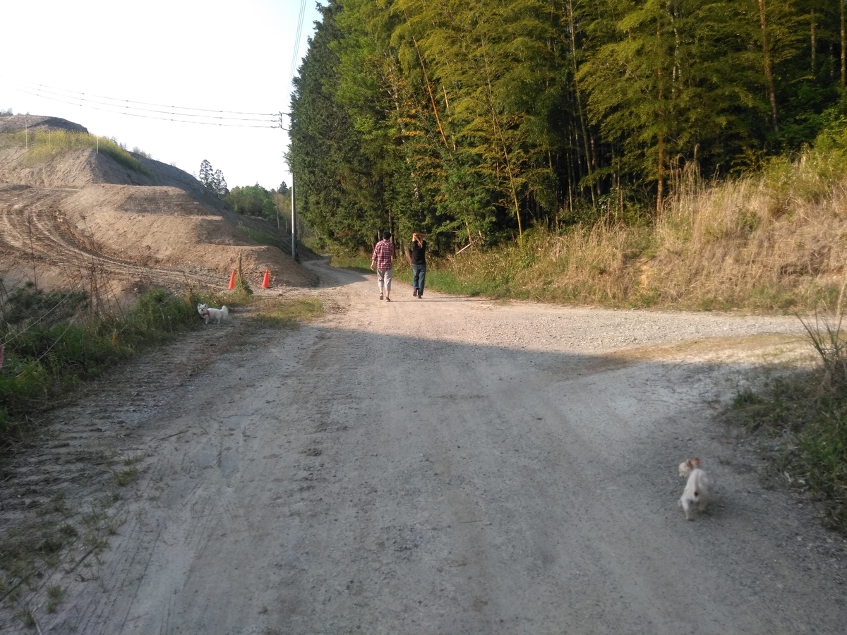 f:id:tiboko:20200503070809j:plain f:id:tiboko:20200503070809j:plain