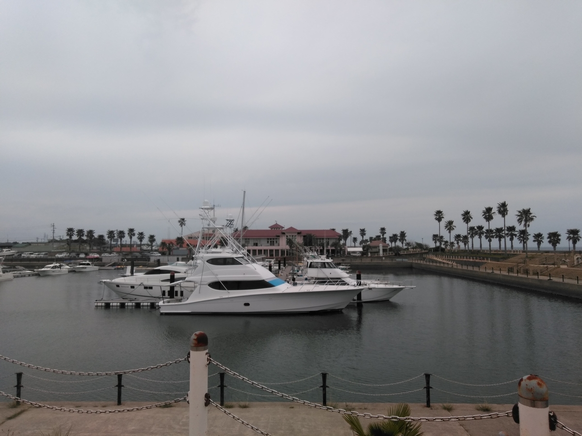 f:id:tiboko:20200504054207j:plain