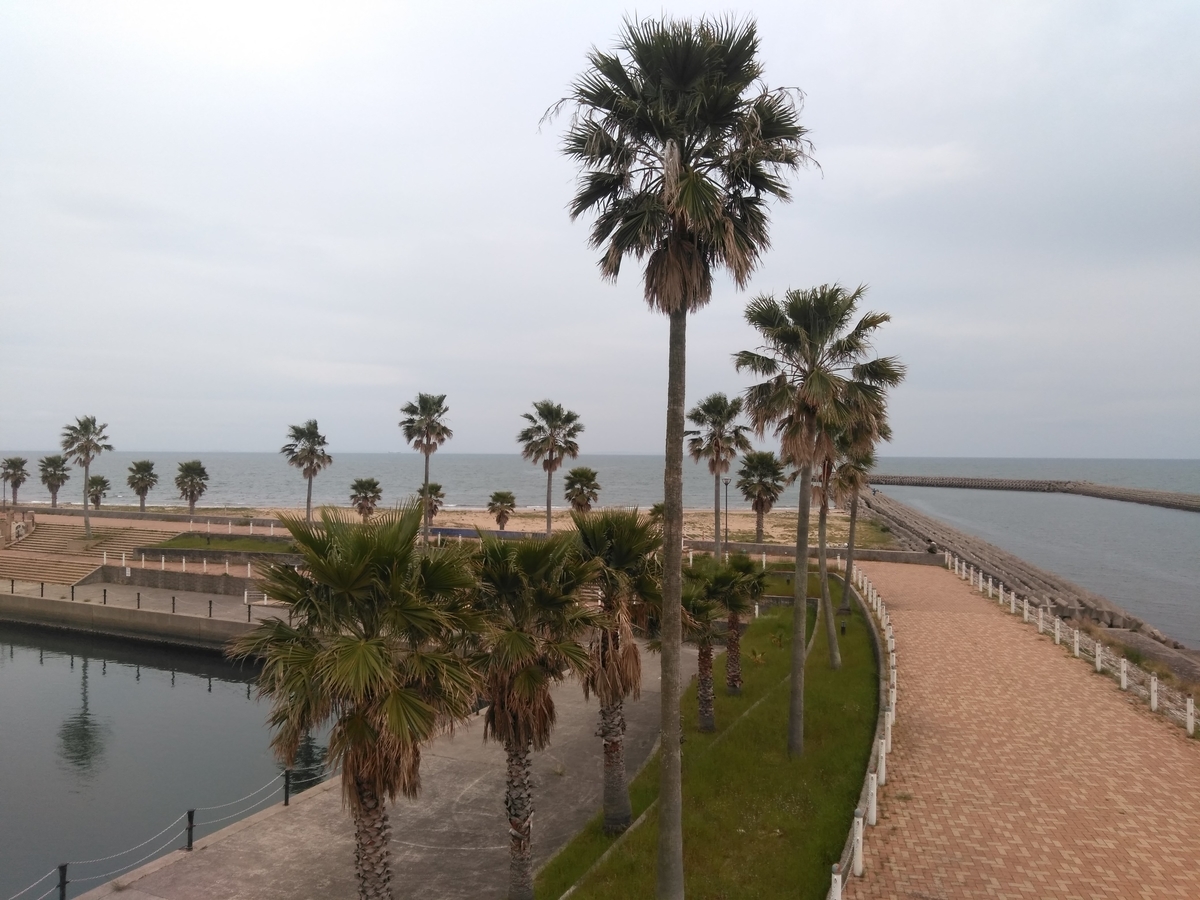 f:id:tiboko:20200504054423j:plain