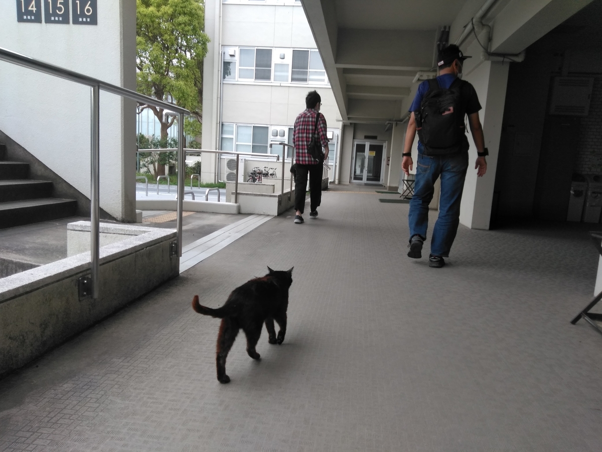 f:id:tiboko:20200504054618j:plain