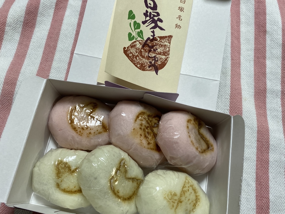 f:id:tiboko:20200608062603j:plain