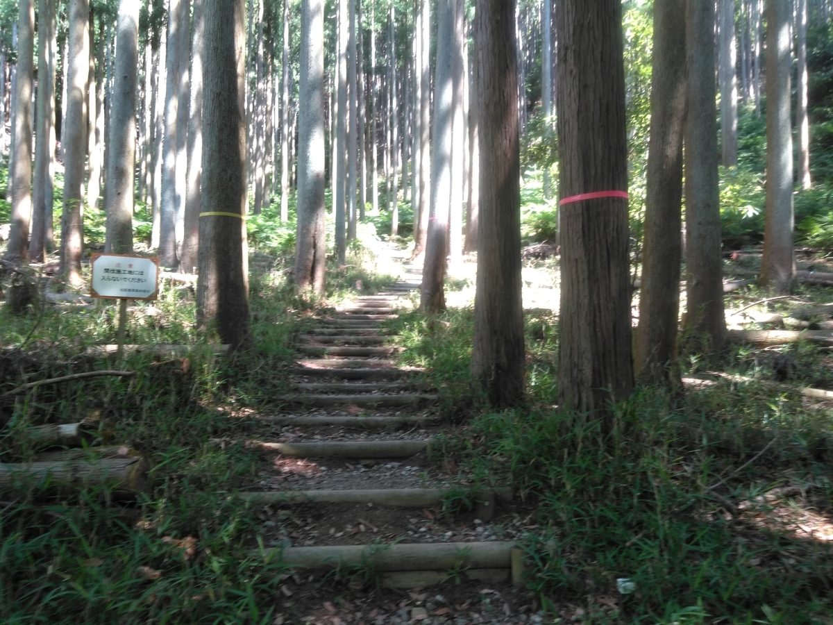 f:id:tiboko:20200609053728j:plain