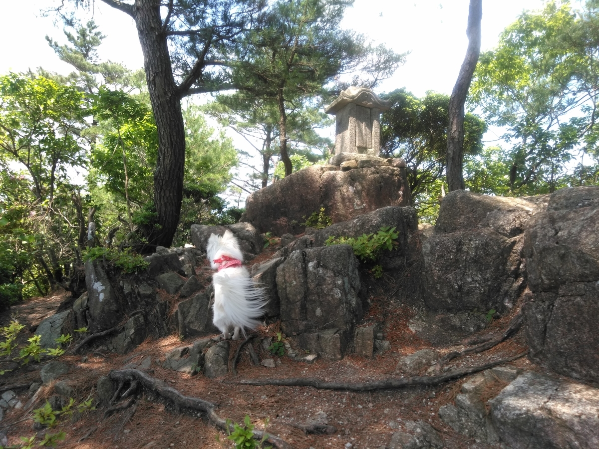 f:id:tiboko:20200609054048j:plain