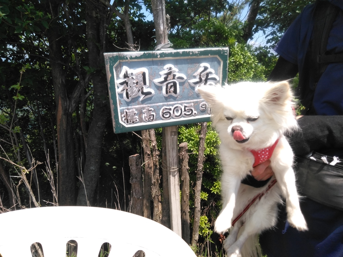 f:id:tiboko:20200609054212j:plain