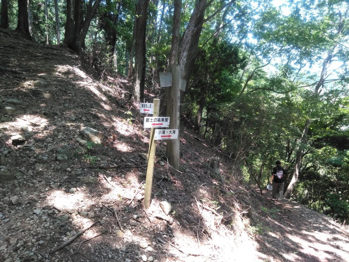 f:id:tiboko:20200609054244j:plain