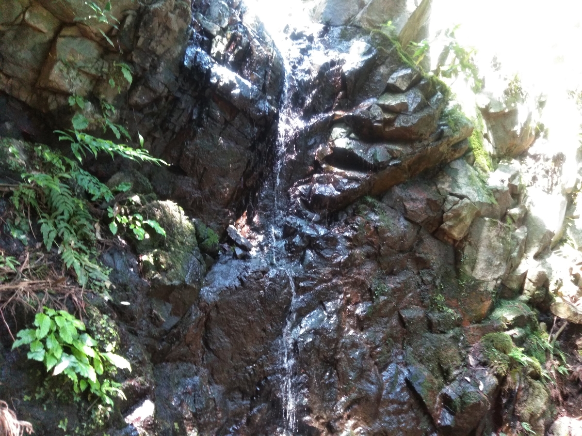 f:id:tiboko:20200609054343j:plain