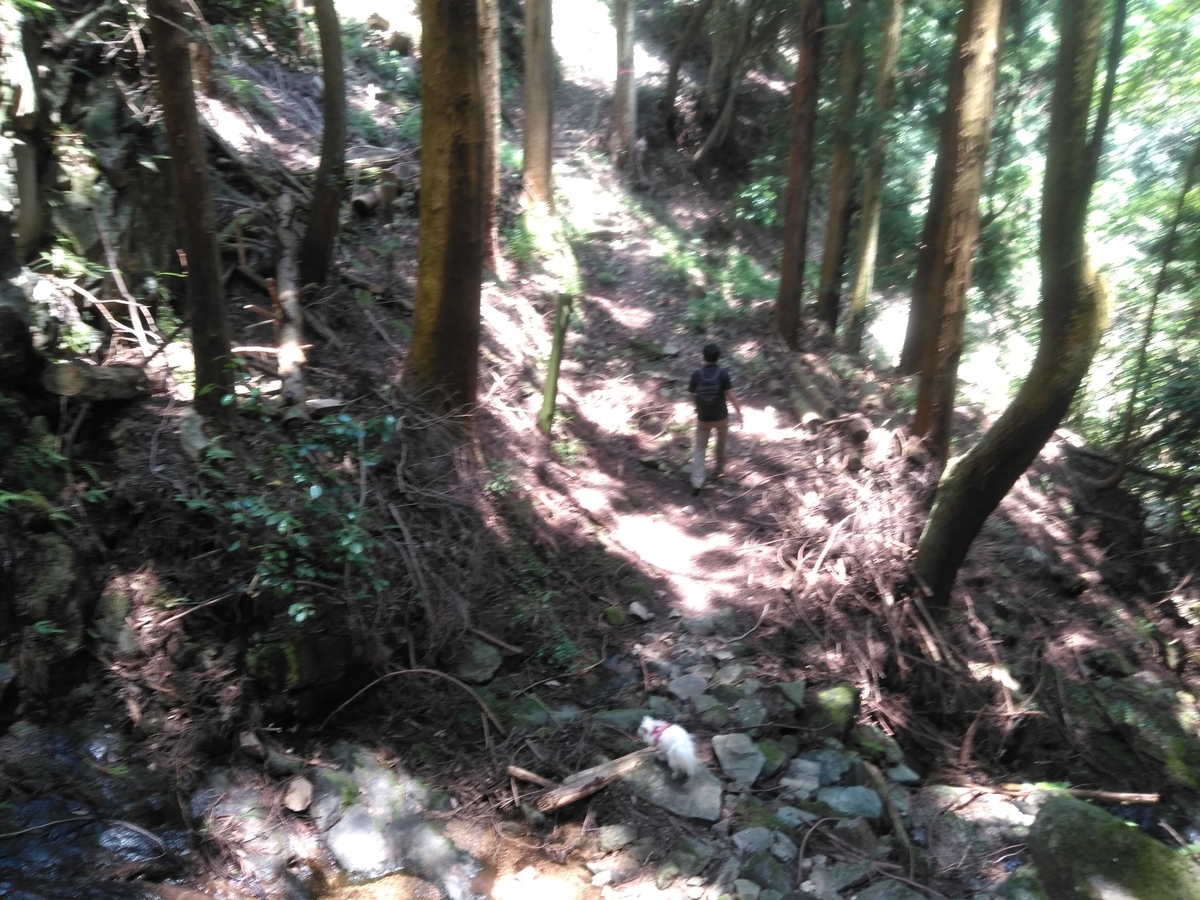 f:id:tiboko:20200609054413j:plain