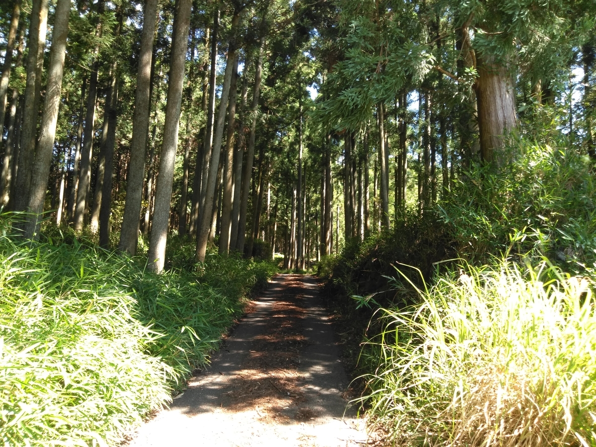 f:id:tiboko:20200618063015j:plain f:id:tiboko:20200618063015j:plain