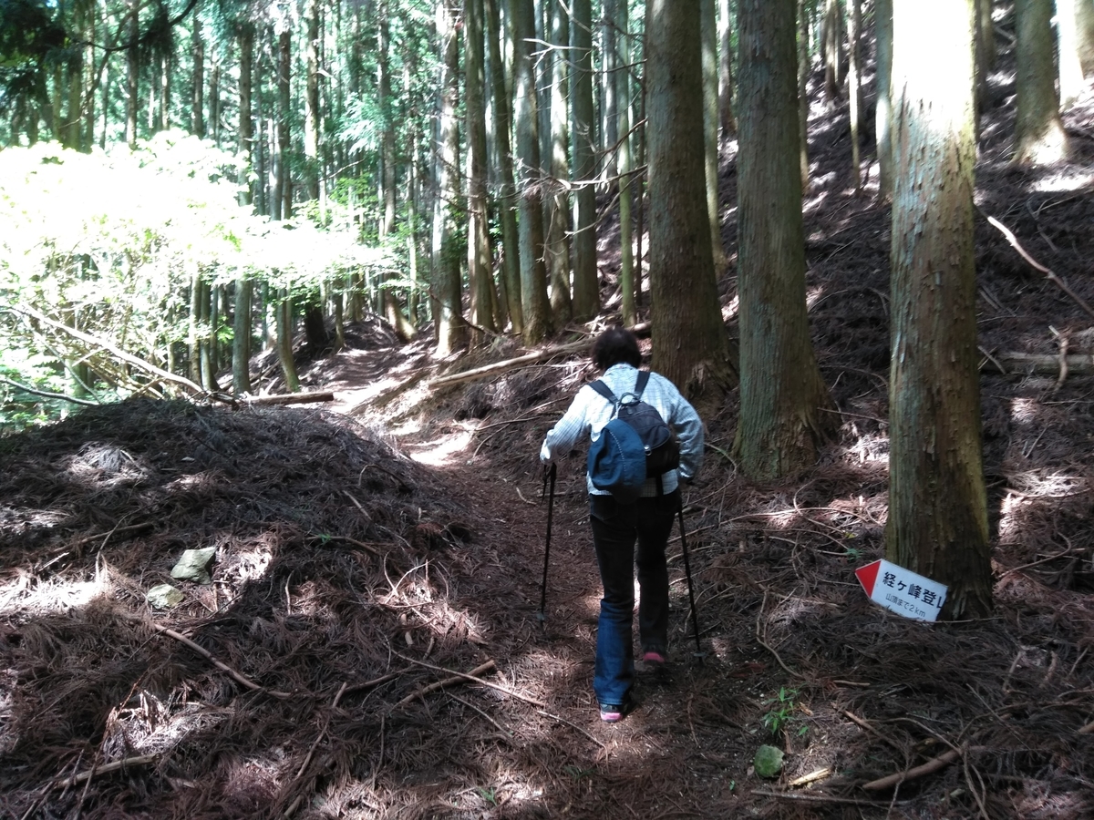 f:id:tiboko:20200618063156j:plain f:id:tiboko:20200618063156j:plain