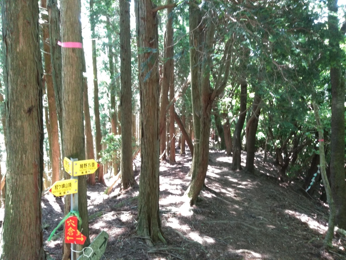 f:id:tiboko:20200618063258j:plain f:id:tiboko:20200618063258j:plain