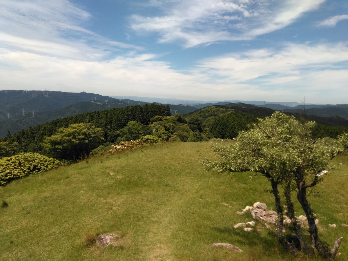 f:id:tiboko:20200618063644j:plain f:id:tiboko:20200618063644j:plain