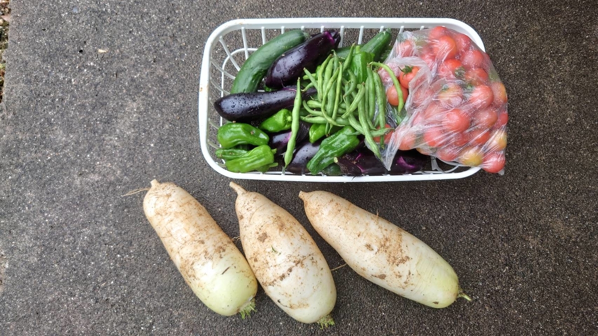 f:id:tiboko:20200706120133j:plain