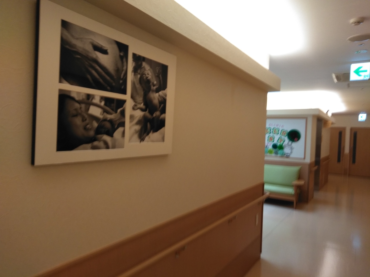 f:id:tiboko:20200728155828j:plain f:id:tiboko:20200728155828j:plain