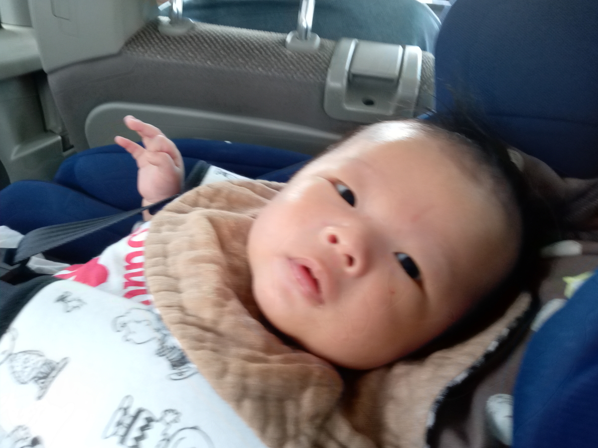 f:id:tiboko:20200915134952j:plain f:id:tiboko:20200915134952j:plain