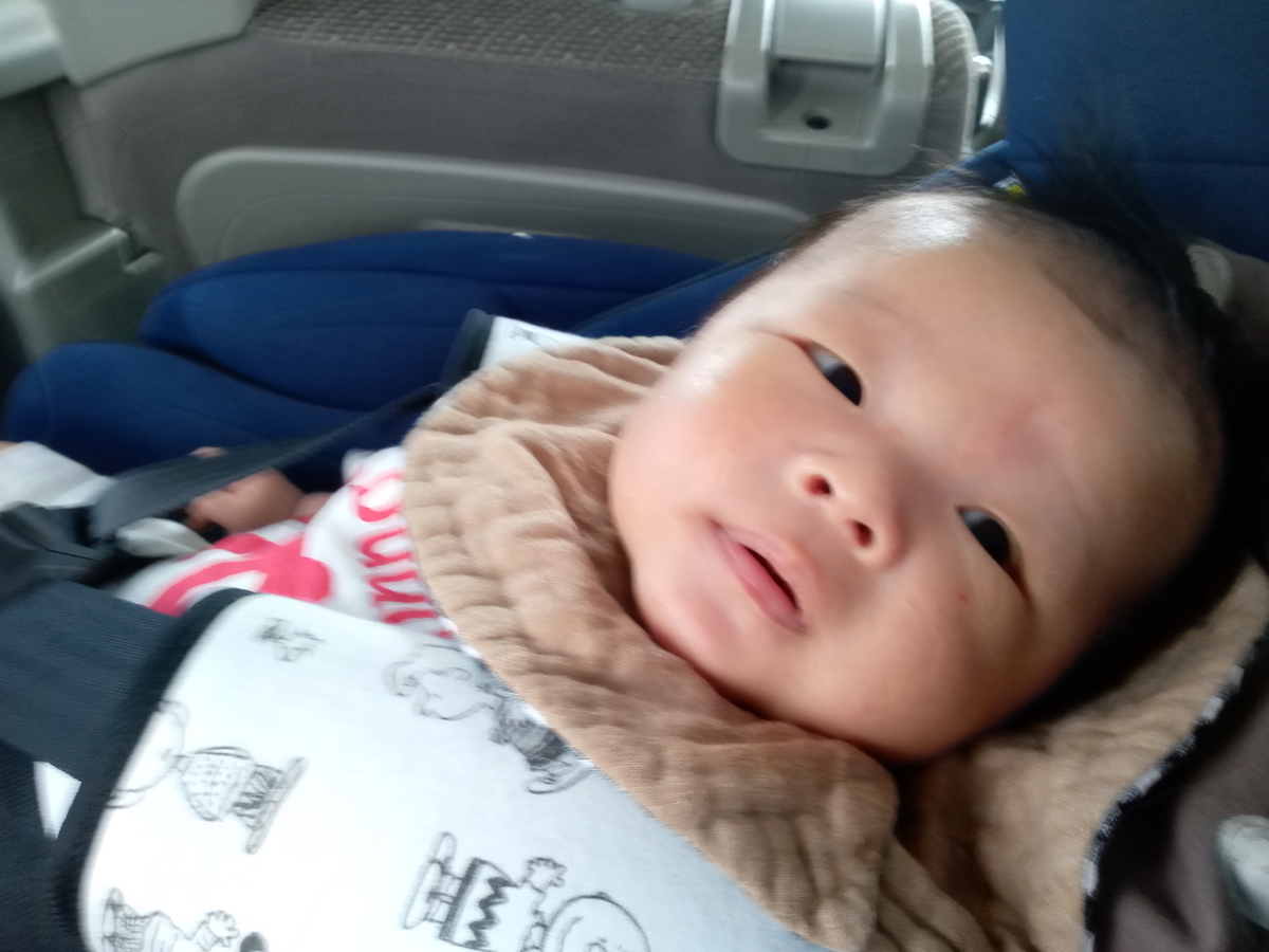 f:id:tiboko:20200915135018j:plain f:id:tiboko:20200915135018j:plain