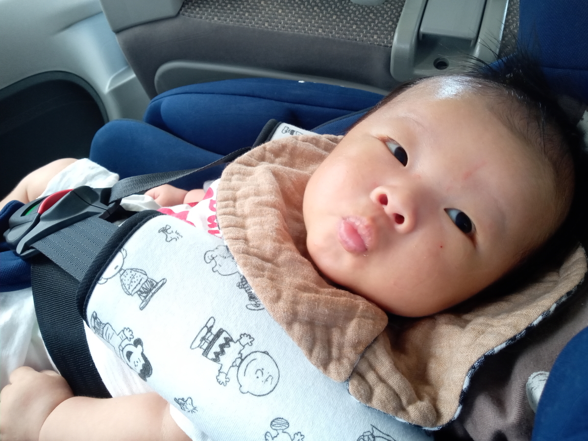 f:id:tiboko:20200915135056j:plain f:id:tiboko:20200915135056j:plain