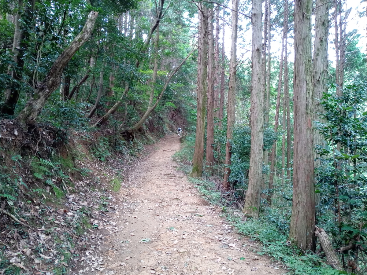 f:id:tiboko:20200918190256j:plain f:id:tiboko:20200918190256j:plain