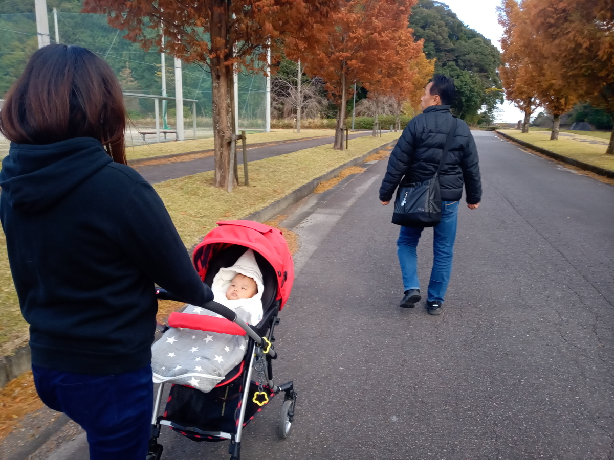 f:id:tiboko:20201205071226j:plain