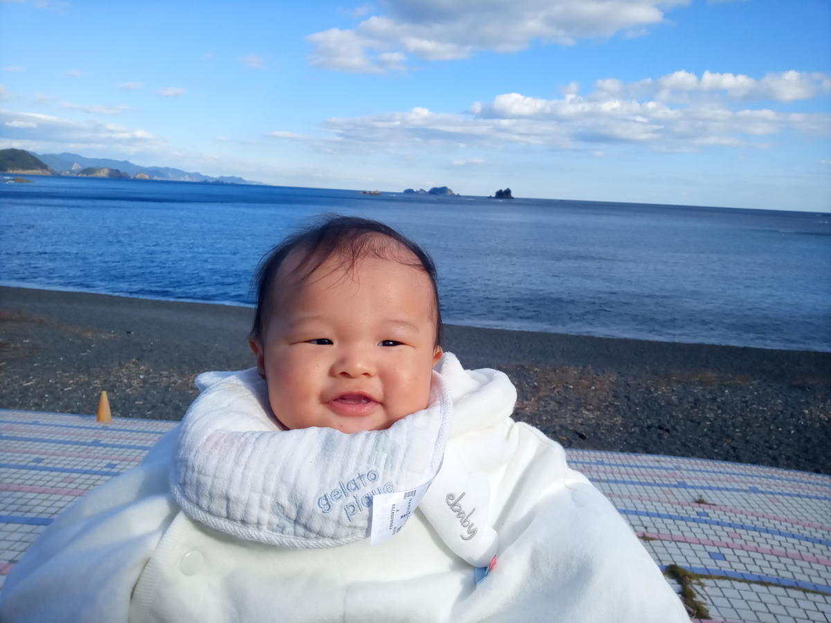 f:id:tiboko:20201205071428j:plain