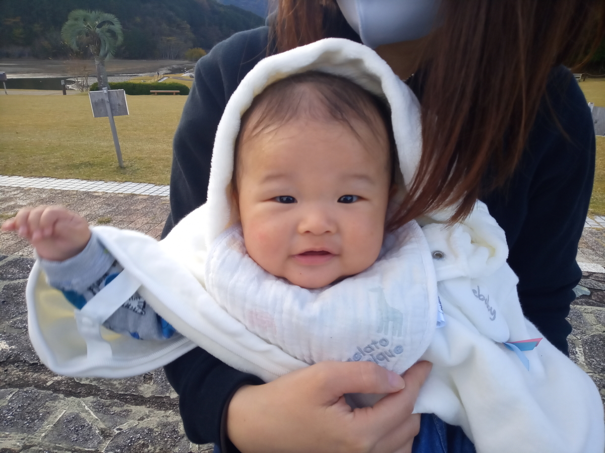 f:id:tiboko:20201205071536j:plain