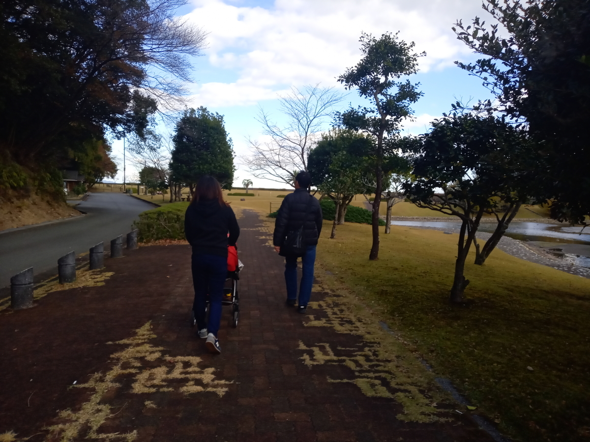 f:id:tiboko:20201205071632j:plain